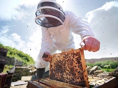 Manuka Health Manuka Honey